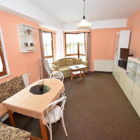 Snug Apartment In Jachymov Near Ski Area Eksteriør billede