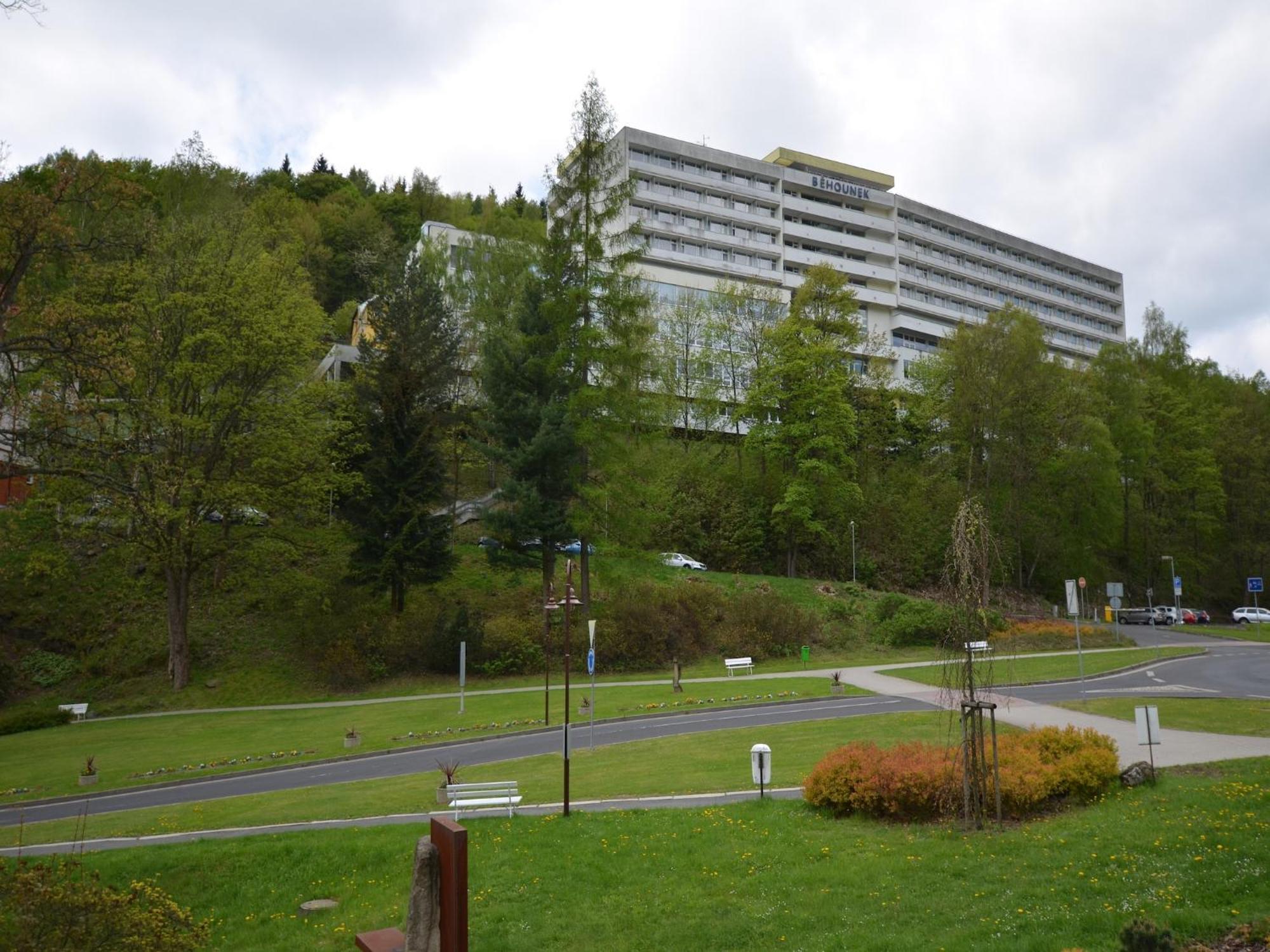 Snug Apartment In Jachymov Near Ski Area Eksteriør billede